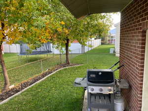 View of yard with a trampoline