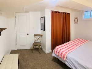 Bedroom with carpet floors