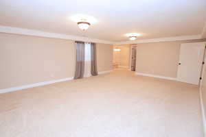 View of large family room in the basement