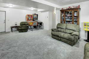 Living room featuring carpet flooring and a textured ceiling