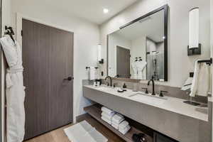 Bathroom with a shower and vanity