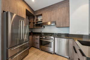 Kitchen with premium appliances, exhaust hood, light hardwood / wood-style flooring, and sink