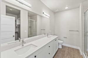 Bathroom with walk in shower, vanity, and toilet