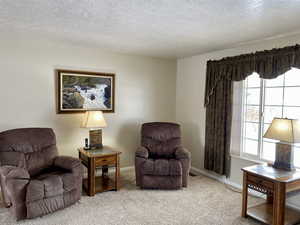 Sitting room with carpet and a textured ceiling