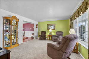 Living room featuring a textured ceiling and carpet flooring