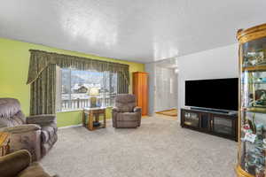 Living room with a textured ceiling and light colored carpet