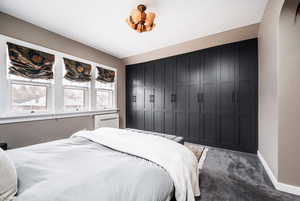 Carpeted bedroom with vaulted ceiling and a closet