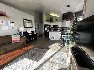 Living room with a textured ceiling, dark hardwood / wood-style flooring, and lofted ceiling