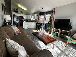 Living room featuring lofted ceiling, sink, wood-type flooring, and a textured ceiling