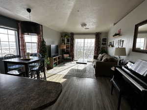 Living room with wood-type flooring, a textured ceiling, and vaulted ceiling