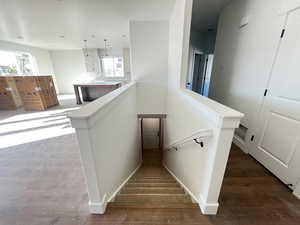 Stairs with hardwood / wood-style flooring