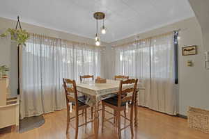 Dining room featuring light hardwood / wood-style floors