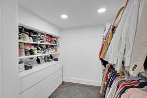 Spacious closet featuring dark wood-type flooring