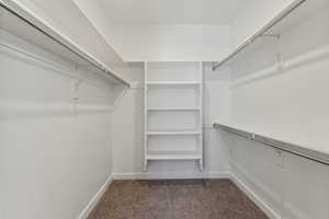 Spacious closet featuring dark carpet