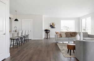 Living room featuring dark hardwood / wood-style floors