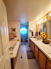 Bathroom featuring toilet, vanity, a washtub, and a textured ceiling