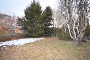 Yard layered in snow featuring a trampoline