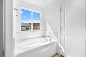 Bathroom with wood-type flooring and a bath