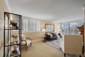 Living room with a textured ceiling, light colored carpet, a wealth of natural light, and crown molding