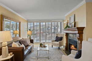 Living room with crown molding, a premium fireplace, a textured ceiling, and a wealth of natural light