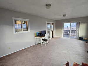 Home office with carpet flooring