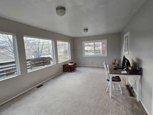 Office featuring light colored carpet