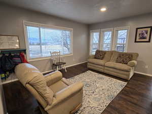 Living room featuring dark hardwood / wood-style flooring