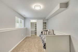 Bedroom with a walk in closet and extra shelving