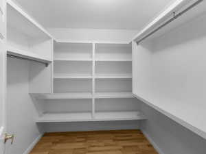 Walk in closet with light wood-type flooring