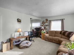 Living room, light colored carpet, and a wealth of natural light