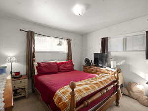 Main Bedroom with carpet flooring