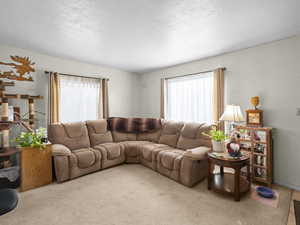 Carpeted living room featuring plenty of natural light and a textured ceiling