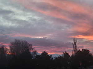 View of nature at dusk