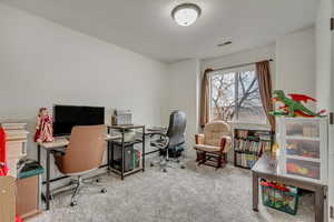 Home office with carpet