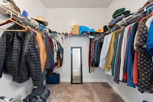 Walk in closet featuring carpet floors