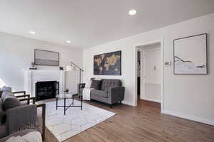 Living room featuring wood-type flooring