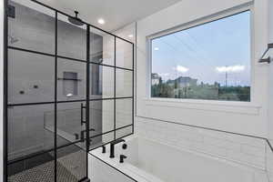 Bathroom with independent shower and bath