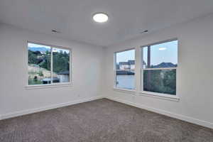 Empty room with dark colored carpet