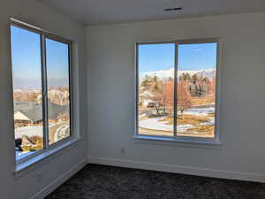 Carpeted spare room featuring a healthy amount of sunlight