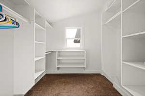 Spacious closet featuring carpet and lofted ceiling