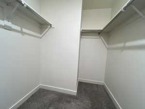 Primary Walk-in closet