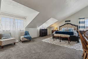 Bedroom with carpet flooring and lofted ceiling with skylight