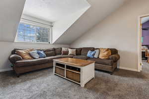 Living room featuring carpet floors and lofted ceiling