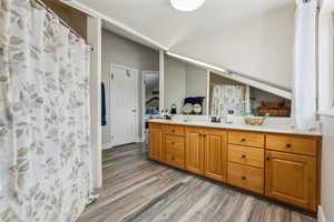 Bathroom with vanity and hardwood / wood-style flooring