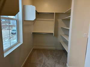 Spacious closet featuring carpet floors