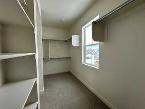 Spacious closet featuring carpet floors