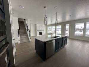 Kitchen with a large fireplace, appliances with stainless steel finishes, hanging light fixtures, an island with sink, and sink