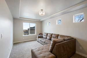 Living room featuring a raised ceiling, a wealth of natural light, and light colored carpet