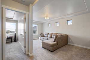 Carpeted living room with a textured ceiling and a tray ceiling