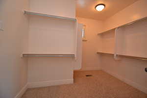 Spacious closet featuring light colored carpet